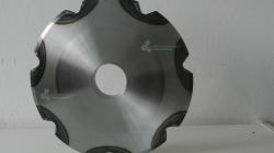 producent-łańcuchowego-koła-podziałka-160-tarcza